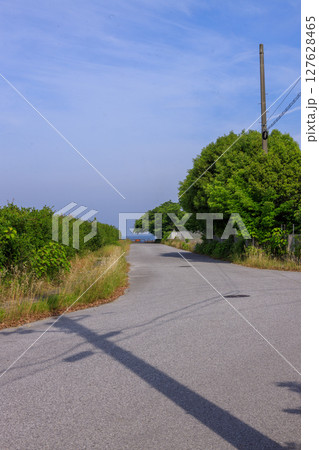 広々として海のような琵琶湖のほとりの風景 127628465