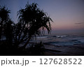 Silhouette of Pandan Laut Tree on the Beach at Purplish Dusk with the background of the waves of the Sumatran coast of Indonesia 127628522