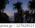 Silhouette of Pandan Laut Tree on the Beach at Dusk with Purple Orange Sky 127628523