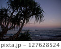 Sea Pandan Tree Silhouetted on the Beach at Purplish Dusk 127628524
