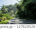 Tropical and Winding Trans-Sumatra Lampung Highway Surrounded by Green Forest 127628526