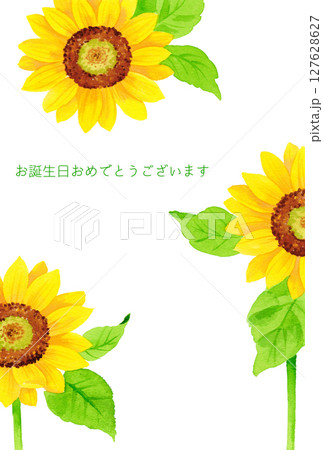水彩絵の具で描いた黄色いのひまわりの花イラストレーションの誕生日カード 水彩絵の具で描いた黄色いのひまわりの花イラストレーションの誕生日カード 127628627