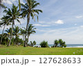 tall coconut trees on the beach with green grass on a blue sky background, near a tropical beach 127628633