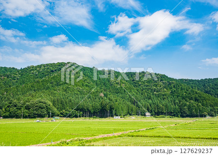 湖北地方余呉町の田園風景　滋賀県長浜市 127629237