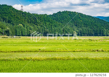 湖北地方余呉町の田園風景 滋賀県長浜市 湖北地方余呉町の田園風景 滋賀県長浜市 127629238