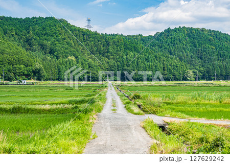 湖北地方余呉町の田園風景 滋賀県長浜市 湖北地方余呉町の田園風景 滋賀県長浜市 127629242