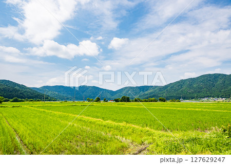 湖北地方余呉町の田園風景 滋賀県長浜市 湖北地方余呉町の田園風景 滋賀県長浜市 127629247