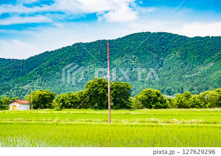 湖北地方余呉町の田園風景　滋賀県長浜市 127629296