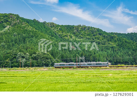 北陸本線余呉駅付近を走る新快速電車 滋賀県長浜市余呉町 北陸本線余呉駅付近を走る新快速電車 滋賀県長浜市余呉町 127629301