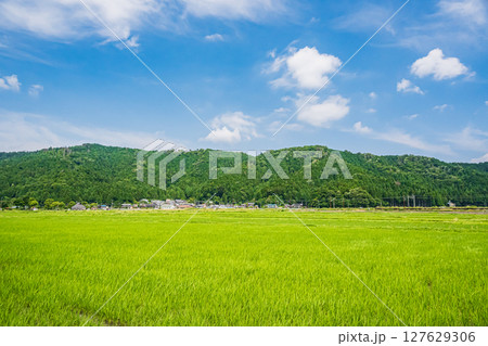 湖北地方余呉町の田園風景 滋賀県長浜市 湖北地方余呉町の田園風景 滋賀県長浜市 127629306