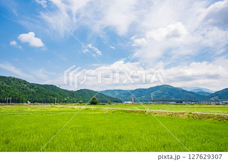 湖北地方余呉町の田園風景　滋賀県長浜市 127629307