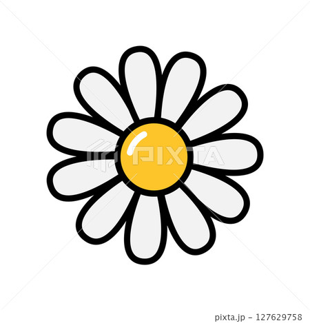 Cartoon daisy flower with yellow center and white petals Cartoon daisy flower with yellow center and white petals 127629758