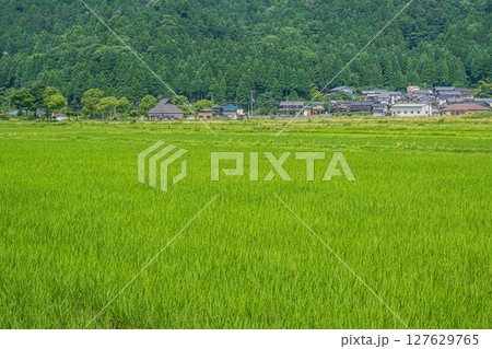 湖北地方余呉町の田園風景　滋賀県長浜市 127629765