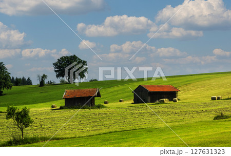 Beautiful summer landscape with sheaves of hay and houses 127631323