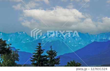 Idyllic Alpine landscape with fir trees and snow-capped mountain peaks in the background Idyllic Alpine landscape with fir trees and snow-capped mountain peaks in the background 127631324