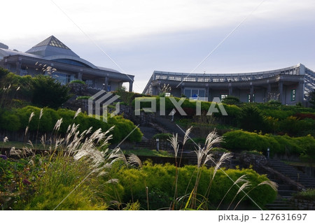 高知県大豊町　ゆとりすとパークおおとよ 127631697