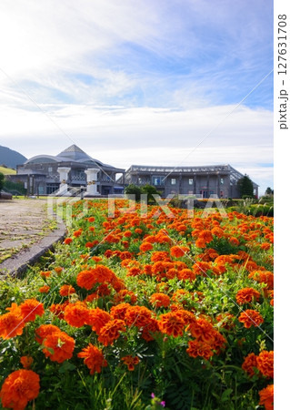 高知県大豊町 ゆとりすとパークおおとよ 高知県大豊町 ゆとりすとパークおおとよ 127631708