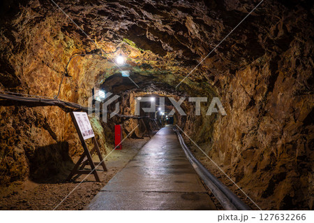 佐渡金山　道遊坑（明治官営鉱山コース）坑道 127632266