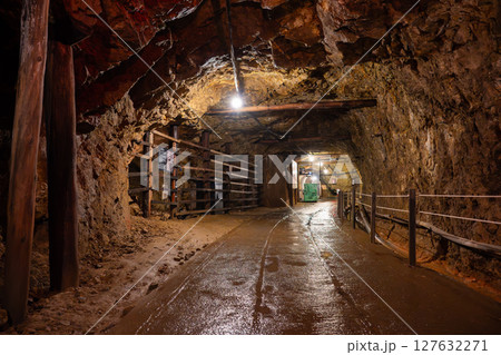 佐渡金山　道遊坑（明治官営鉱山コース）道遊脈の採掘跡 127632271