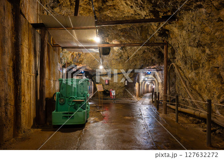 佐渡金山　道遊坑（明治官営鉱山コース）2トン蓄電池式機関車 127632272