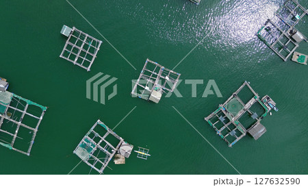 Fish farm with cages for fish and shrimp 127632590