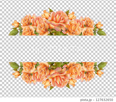 Rose floral banner with blank space Rose floral banner with blank space 127632650