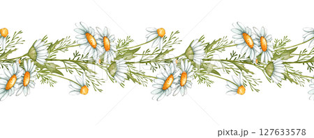 Chamomile seamless border. Hand drawn illustration - frame with daisy flowers. Chamomile seamless border. Hand drawn illustration - frame with daisy flowers. 127633578