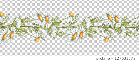 Chamomile seamless border. Hand drawn illustration - frame with daisy flowers. Chamomile seamless border. Hand drawn illustration - frame with daisy flowers. 127633578
