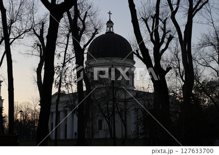 The silhouette of the cathedral and bare trees. 127633700