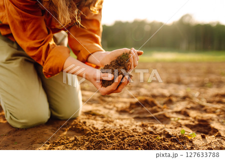 Farmer's woman's hands touch the soil in the field. Concept of gardening, agriculture. Farmer's woman's hands touch the soil in the field. Concept of gardening, agriculture. 127633788