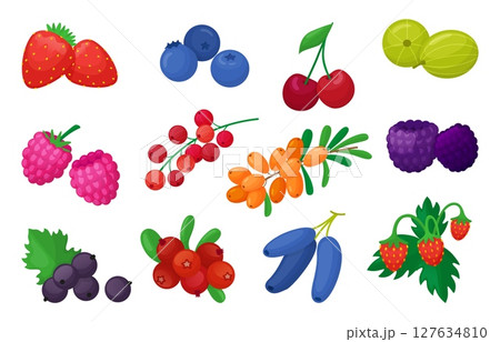 Cartoon berries. Fresh berry, organic farm natural vitamin food. Isolated strawberry, gooseberry, cherry, blueberry, blackberry, raspberry, neoteric vector clipart 127634810