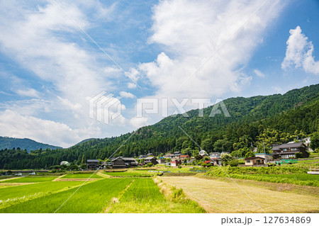 余呉湖畔川並地区の水田風景 滋賀県長浜市余呉町 余呉湖畔川並地区の水田風景 滋賀県長浜市余呉町 127634869