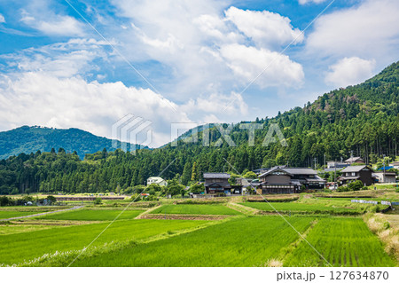 余呉湖畔川並地区の水田風景　滋賀県長浜市余呉町 127634870