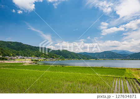 余呉湖畔川並地区の水田風景　滋賀県長浜市余呉町 127634871