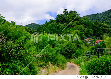 山へ続く道 山へ続く道 127634946