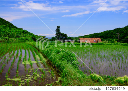 棚田のある風景 127634949