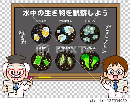 醫生和助手講授微生物和浮游生物的插畫素材 127634980