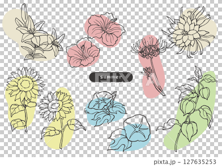 夏の花のシンプルラフなイラスト 127635253