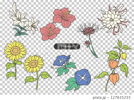夏季花卉簡單彩色插圖 夏季花卉簡單彩色插圖 127635255