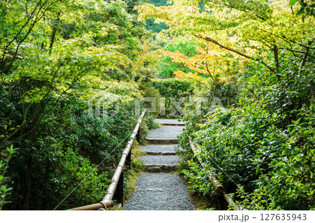 色づき始めた秋の木々に囲まれた光悦寺 127635943