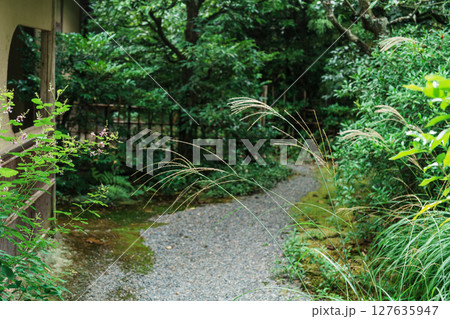 緑に包まれた小道 127635947
