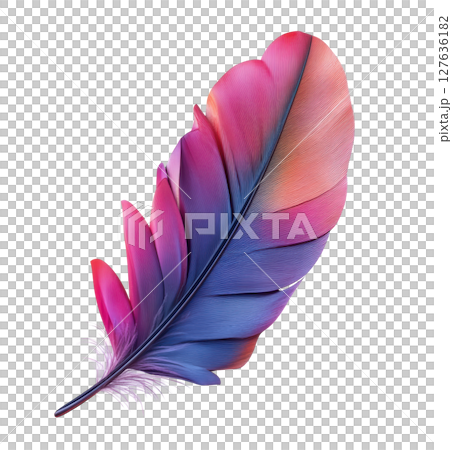 Feather transparent PNG isolated on white background. 127636182