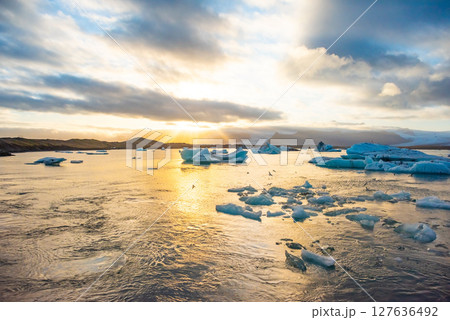 Golden sunset casts a warm glow over an Arctic landscape, highlighting iceberg formations in serene waters. Birds soar above, creating an atmosphere of tranquility and awe 127636492