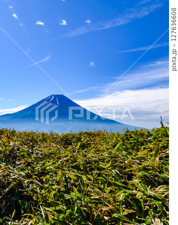 山梨県・竜ヶ岳から見る青空と富士山の絶景(夏景色) 山梨県・竜ヶ岳から見る青空と富士山の絶景(夏景色) 127636608
