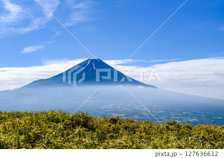 山梨県・竜ヶ岳から見る青空と富士山の絶景（夏景色） 127636612