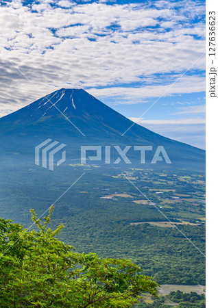 山梨県・竜ヶ岳から見る青空と富士山の絶景（夏景色） 127636623