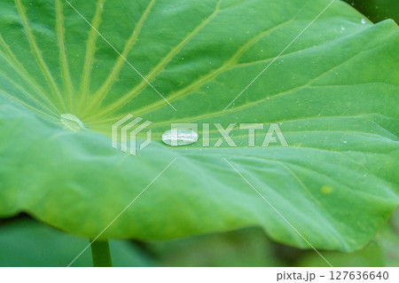 雨水 あめ湯 雨の日 127636640