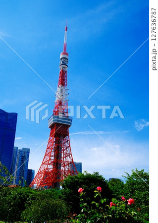 バラの花咲く公園と東京タワー バラの花咲く公園と東京タワー 127636787