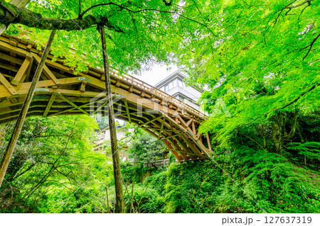 初夏のこおろぎ橋　石川県加賀市 127637319
