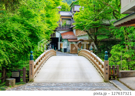 初夏のこおろぎ橋　石川県加賀市 127637321